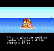 Image n° 8 - screenshots  : Super Adventure Island II